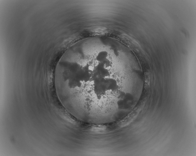 X0000111910369200908031143