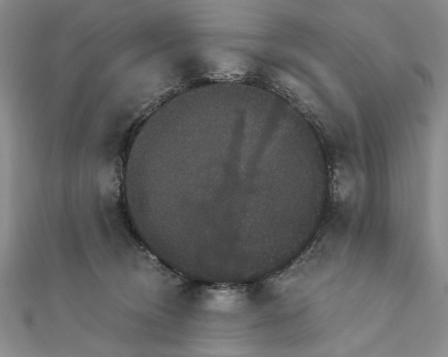 X0000111910370200908031143