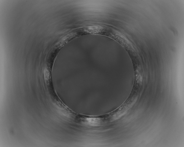 X0000111910371200908031143