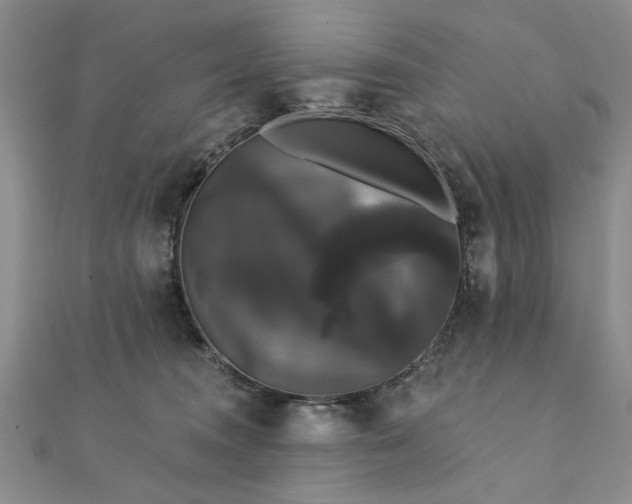 X0000111910372200908031143