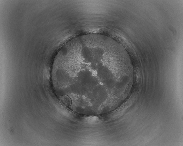 X0000111910374200908031143