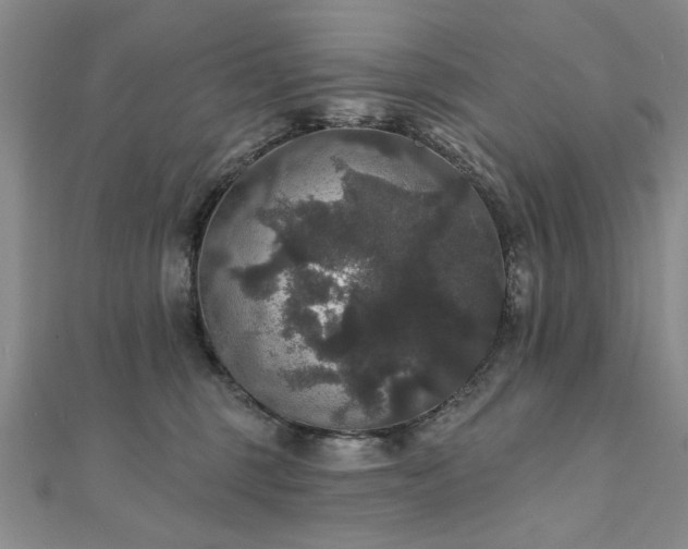 X0000111910375200908031143