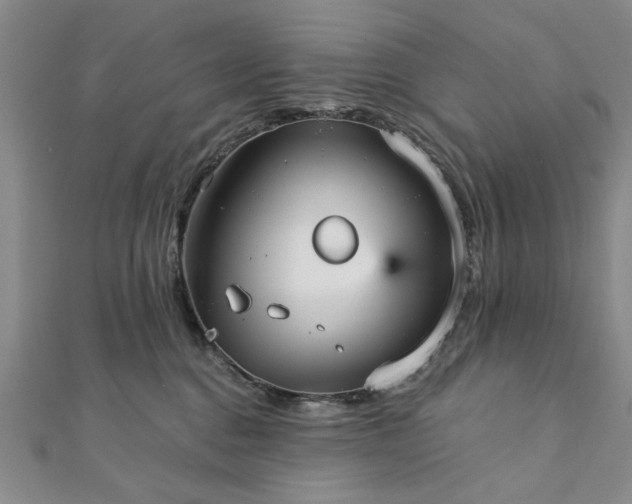 X0000111910376200908031143