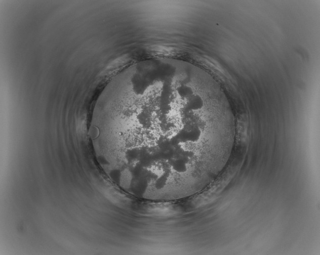 X0000111910377200908031143