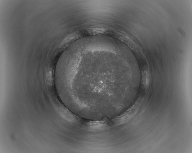 X0000111910378200908031143