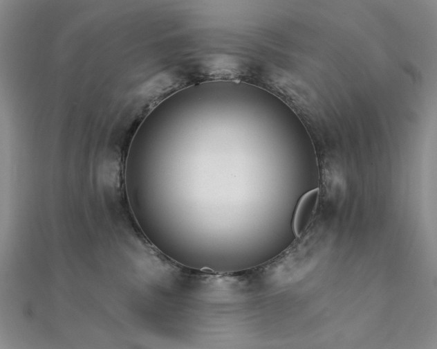 X0000111910379200908031143