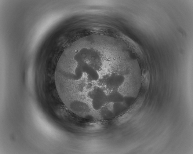 X0000111910381200908031143