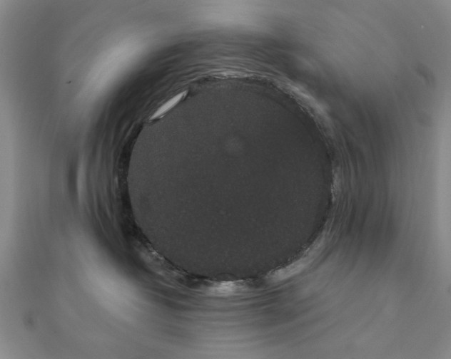 X0000111910382200908031143