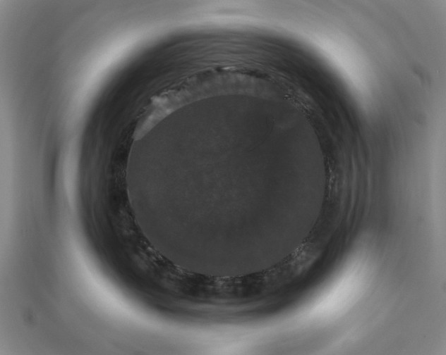 X0000111910383200908031143