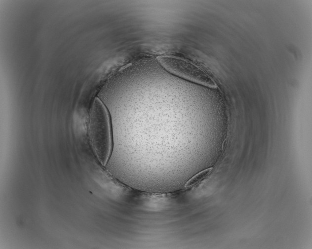 X0000111910384200908031143