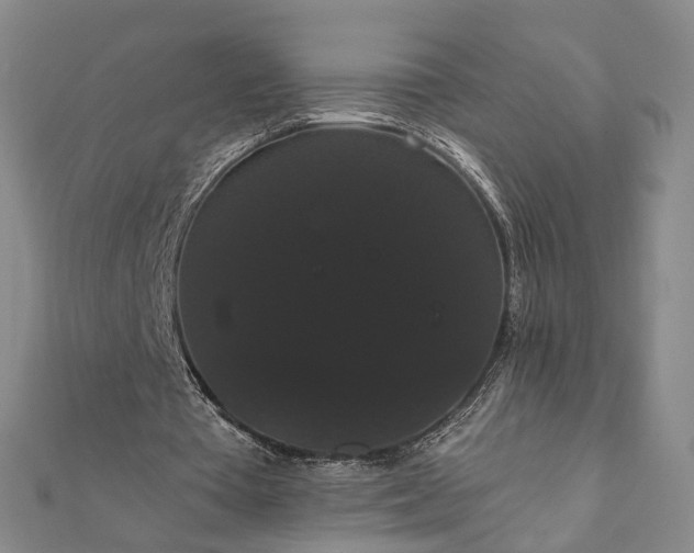 X0000111910385200908031142