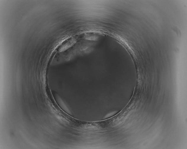 X0000111910386200908031142