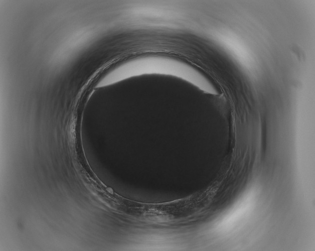 X0000111910387200908031142