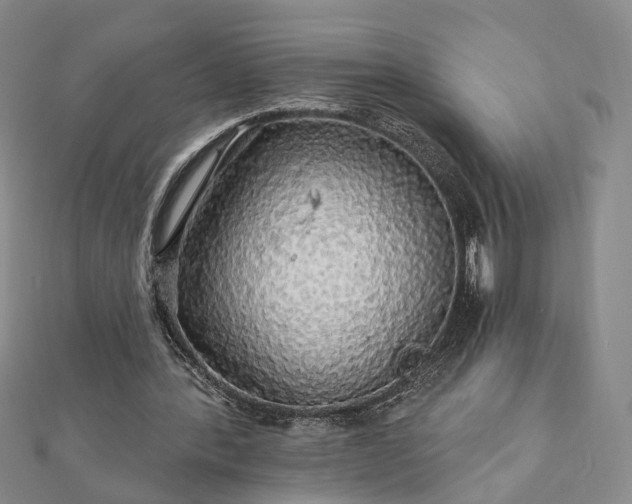 X0000111910388200908031142