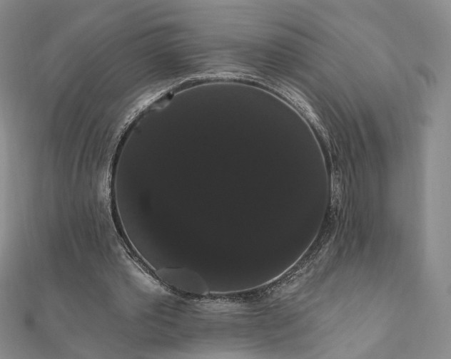 X0000111910389200908031142