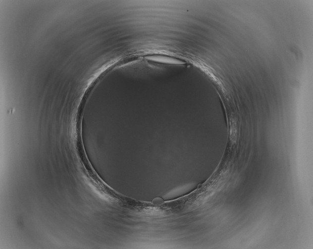 X0000111910390200908031142