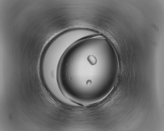 X0000111910391200908031142