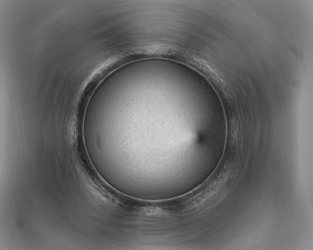 X0000111910392200908031142