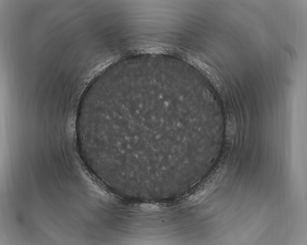 X0000111910394200908031142