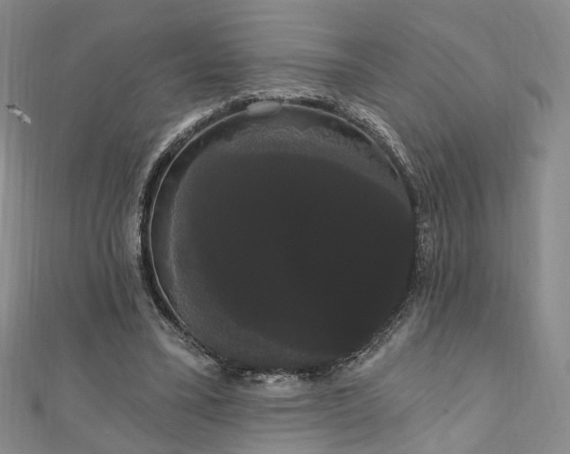 X0000111910395200908031142