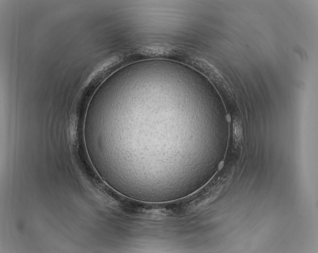 X0000111910396200908031142