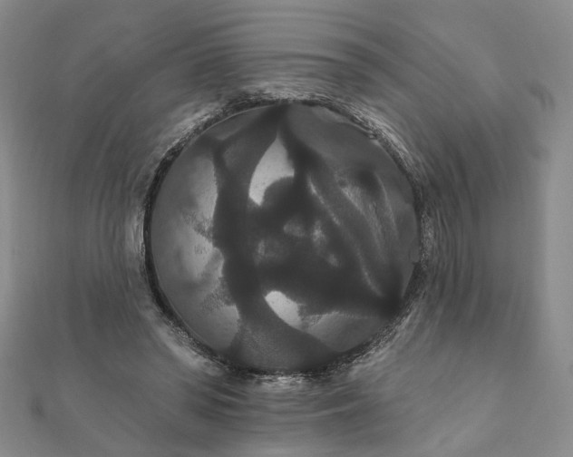 X0000111910398200908031142