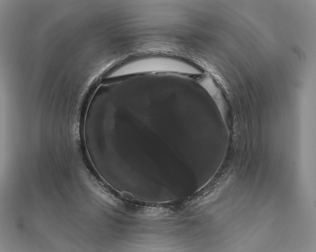 X0000111910399200908031142