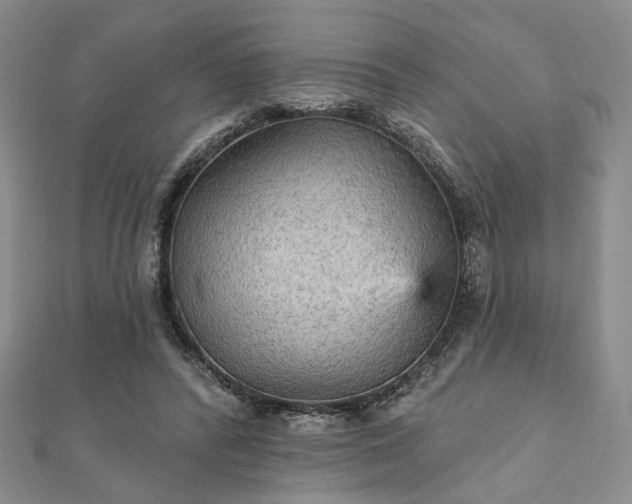 X0000111910400200908031142