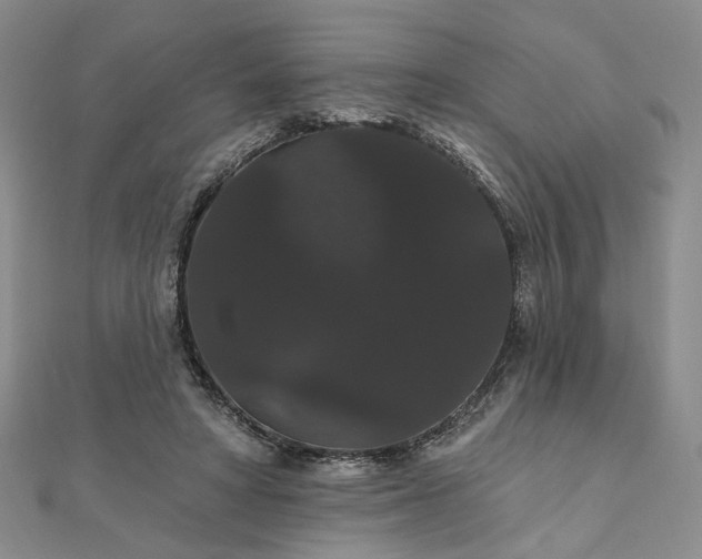 X0000111910402200908031142