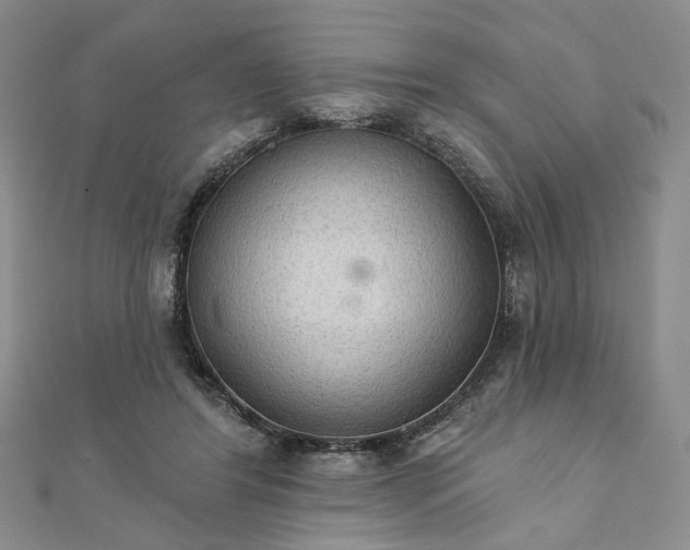 X0000111910404200908031142