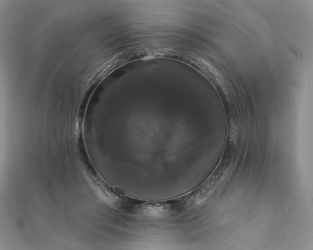 X0000111910405200908031142