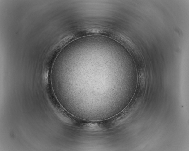 X0000111910406200908031142