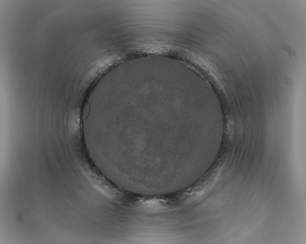 X0000111910407200908031142