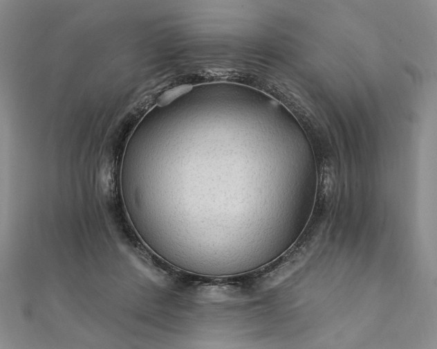 X0000111910408200908031142