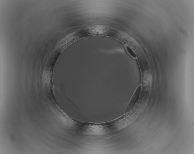 X0000111910409200908031142