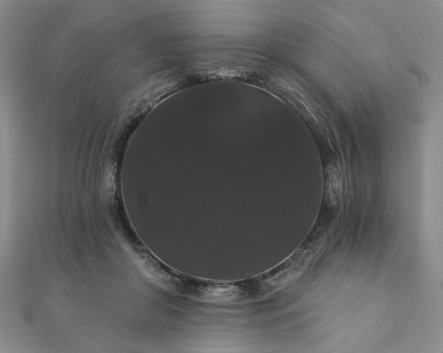 X0000111910410200908031142