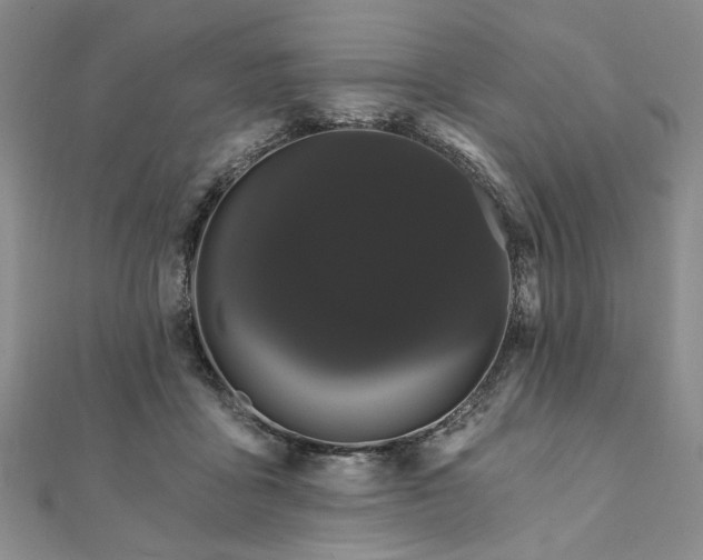 X0000111910411200908031142