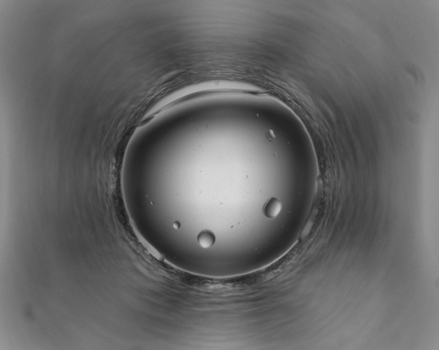 X0000111910413200908031142