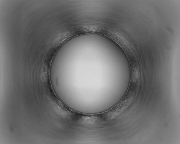 X0000111910414200908031142