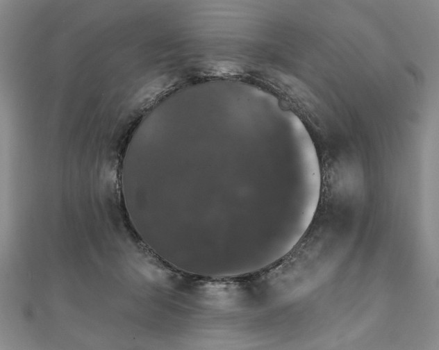 X0000111910415200908031142