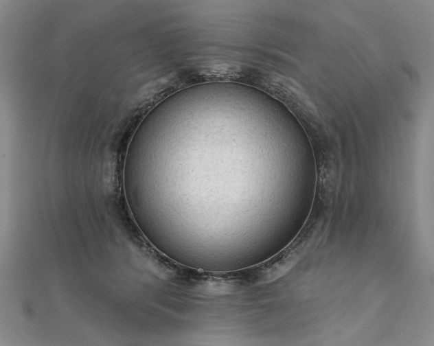 X0000111910416200908031142