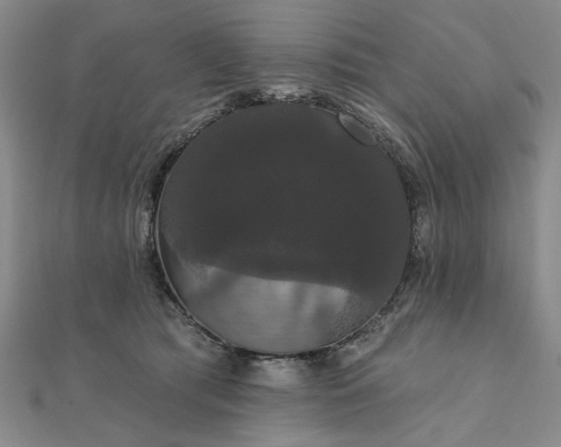 X0000111910417200908031142