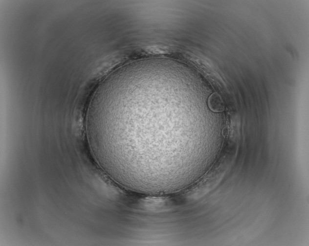 X0000111910418200908031142