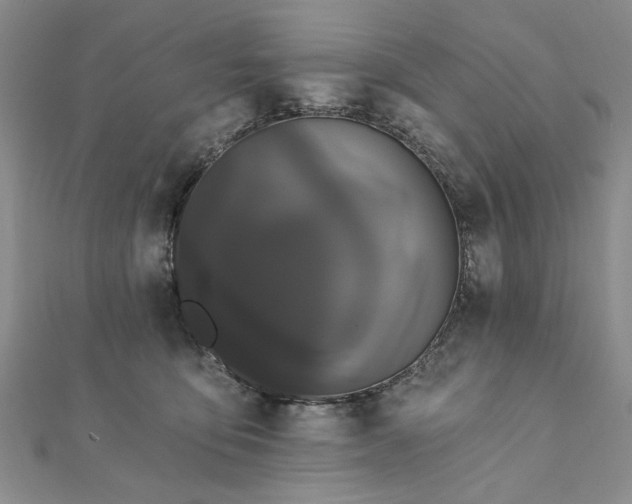 X0000111910419200908031142