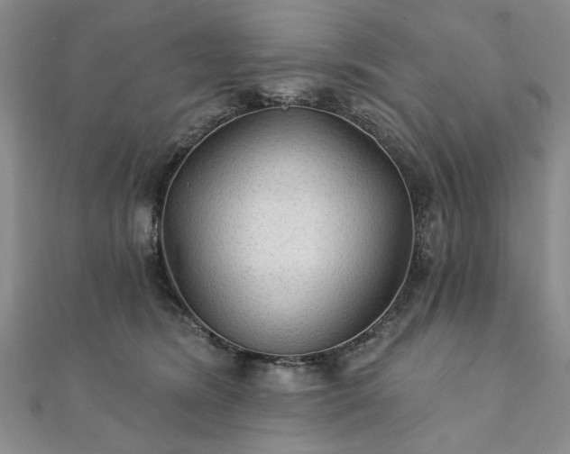 X0000111910420200908031142