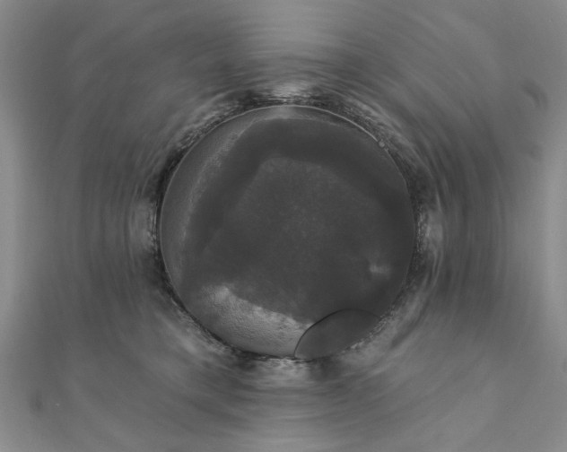 X0000111910421200908031142