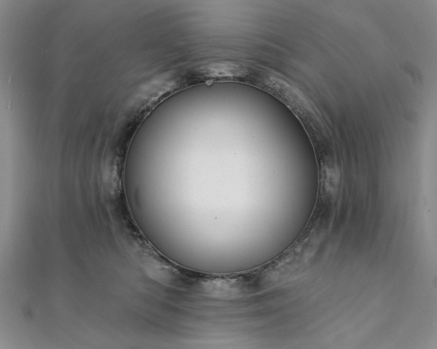 X0000111910422200908031141