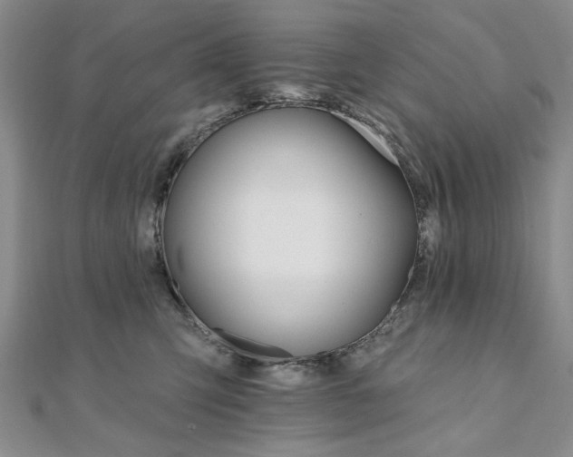 X0000111910423200908031141