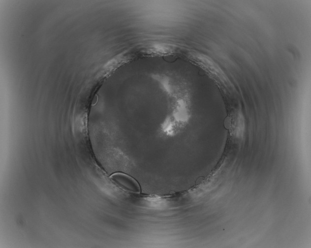 X0000111910425200908031141