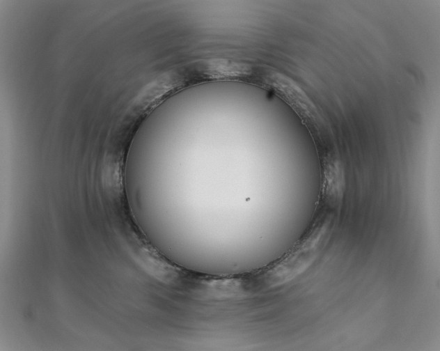 X0000111910426200908031141